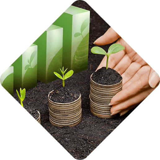 Sustainable Investment